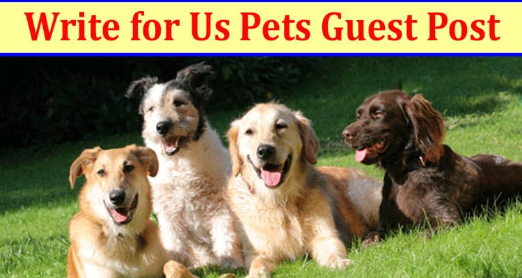 About General Information Write for Us Pets Guest Post